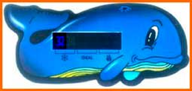 Thermometer